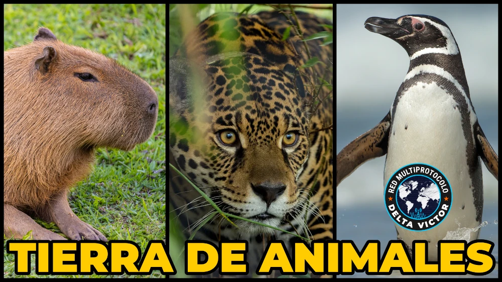 Tierra de Animales